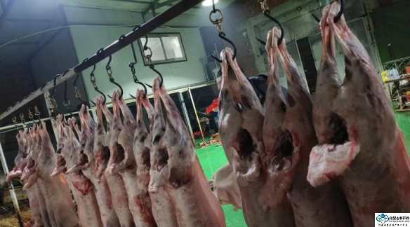 苏尼特羊肉